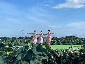 芭蕾舞蓮花 黃偉哲邀民眾親近臺南在地農漁地景藝術文化