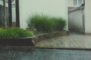 午後大雷雨來了!專家教看房抓漏水屋5指南 隨身帶1小物秒揪壁癌
