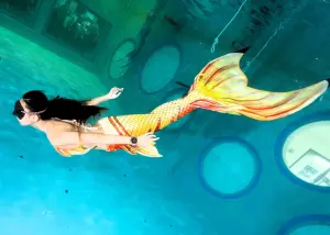 第二屆台灣人魚表演賽(2024 MFI Taiwan Mermaid Competition)首度移師基隆。(圖/台灣自由潛水協會提供) ▲第二屆台灣人魚表演賽(2024 MFI Taiwan Mermaid Competition)移師基隆。(圖/台灣自由潛水協會提供)
