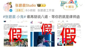 張碧晨 ▲