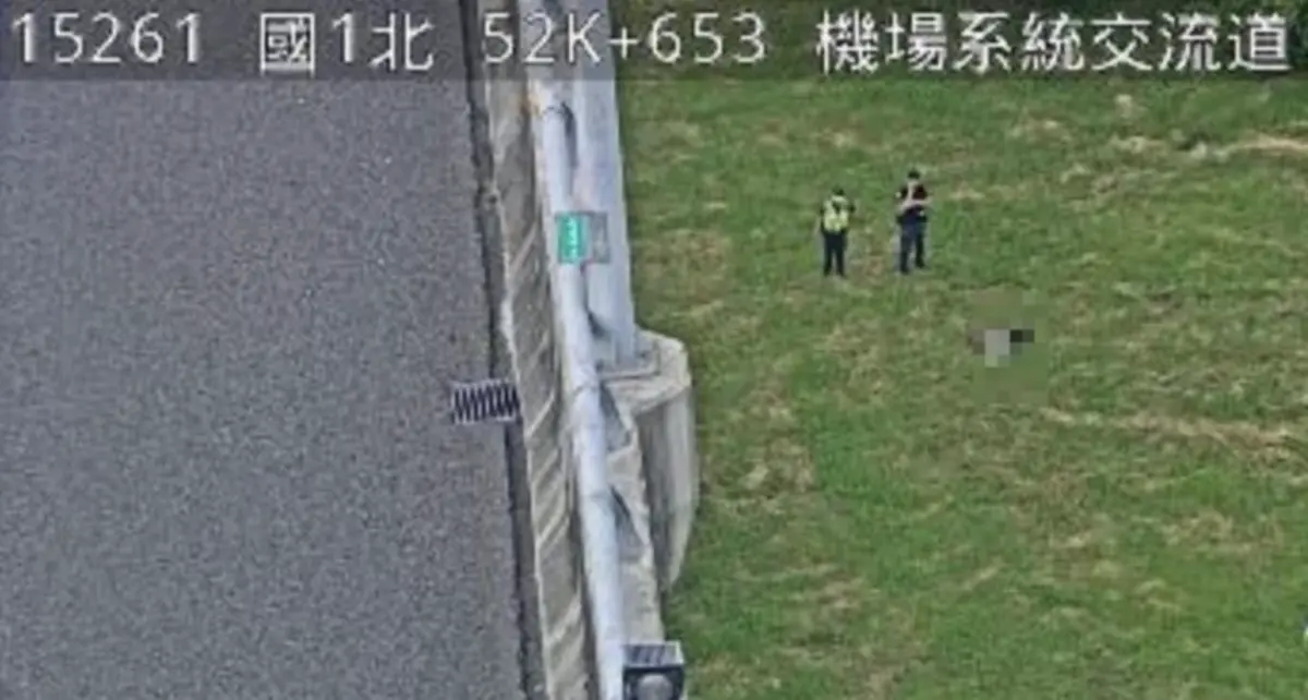 ▲國道1號北上52公里處桃園路段，一名駕駛將車輛停放在公務車道後，不明原因從高架墜落，倒臥草地上昏迷，緊急送醫不治。（圖／翻攝畫面）