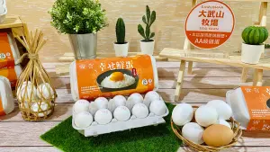 ▲大武山牧場攜手日本最大蛋雞牧場TAMAGO&COMPANY株式會社，開賣台灣第一顆「生食級雞蛋」。一顆要價16元的「幸せ鮮蛋」，在蛋價崩盤之際格外引起注目。（圖／記者蕭涵云攝）