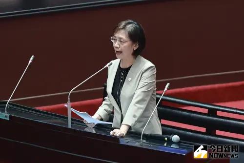 國會改革違憲？翁曉玲坦言這3處恐被大法官吹毛求疵　再修法就好
