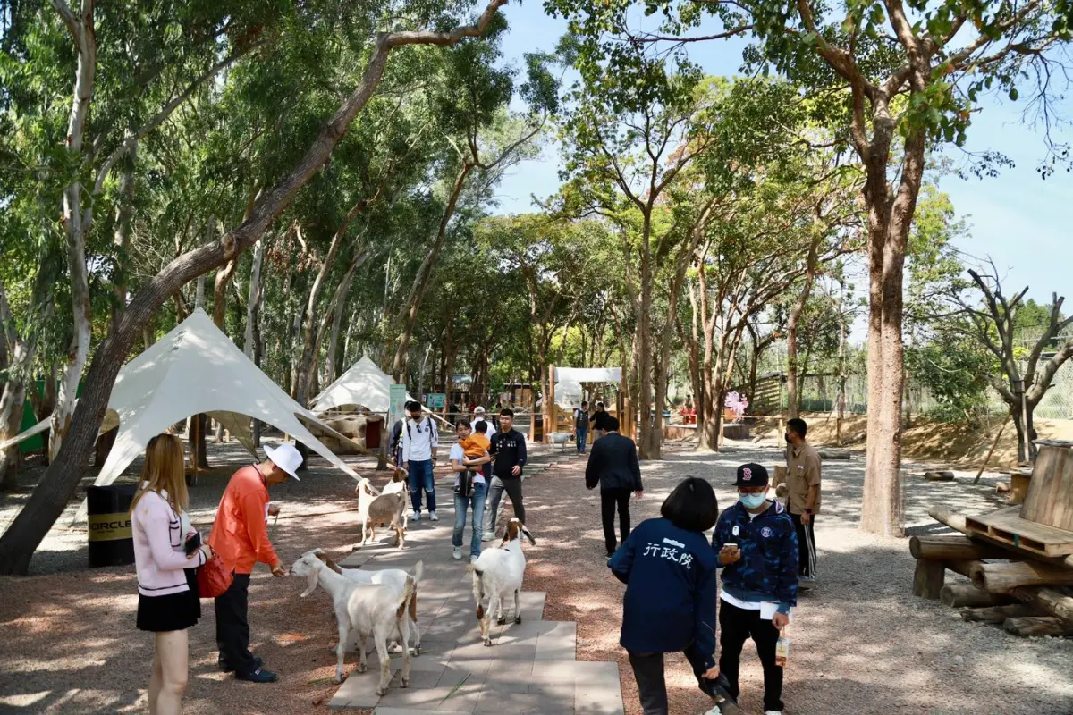 ▲光禹國際在嘉義打造「咩咩上樹樂園」年1月正式開幕，觀光人潮估計有50萬人次。（圖／翻攝自翁章梁臉書）