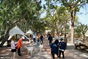 挺過疫情艱困!光禹國際估今年營運可望轉盈 擬2025送件申請上市