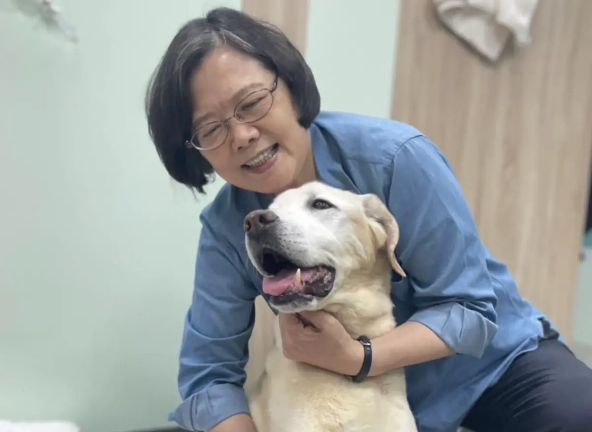 ▲蔡英文今日為為16歲愛犬Maru慶生，希望他能夠「痛痛飛走」。（圖／翻攝自蔡英文臉書）