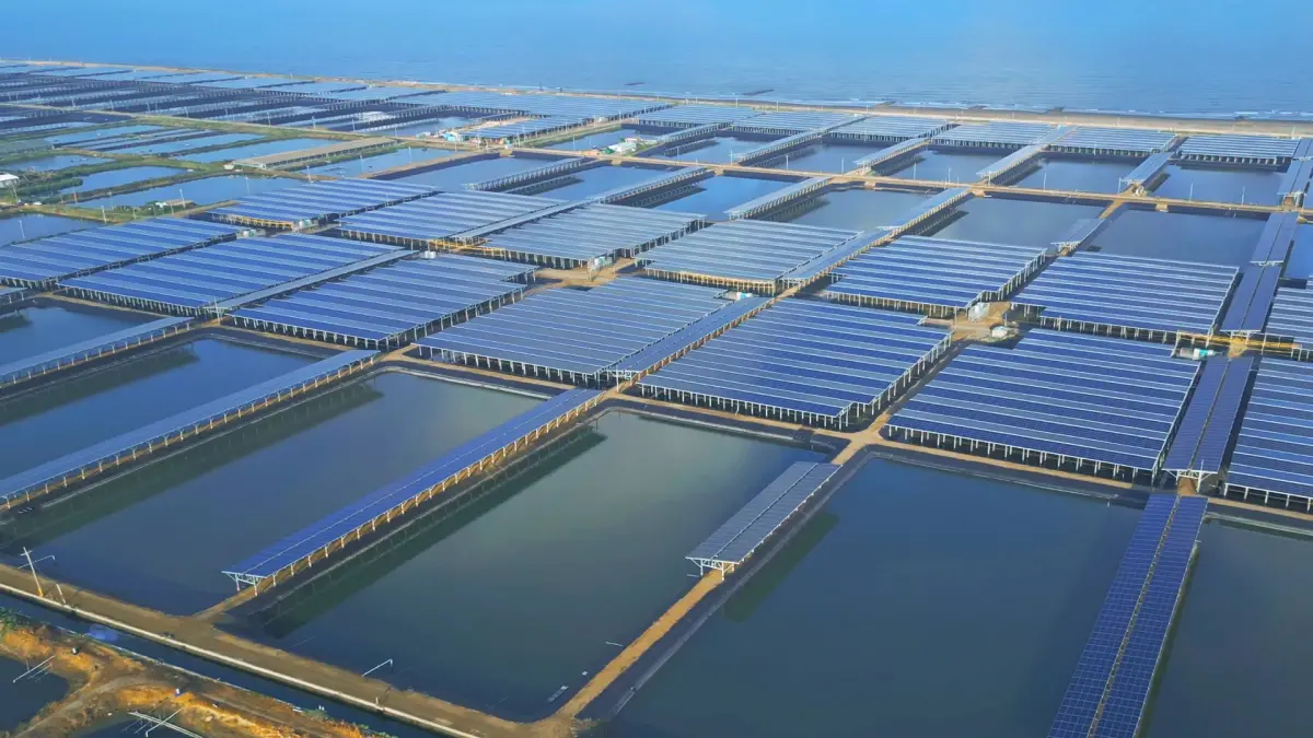 ▲經濟部長郭智輝近日狠批雲豹能源「炒股」，讓公司爭議再度甚囂塵上。圖為雲豹能源旗下全台最大漁電共生場域。（圖／品牌提供）