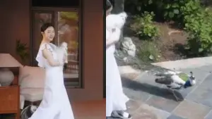 霍思燕抱著寵物狗介紹自家豪宅,宅內庭園除了其他寵物外居然還能看到孔雀。 ▲霍思燕抱著寵物狗介紹自家豪宅,宅內庭園除了其他寵物外居然還能看到孔雀。(圖/微博)