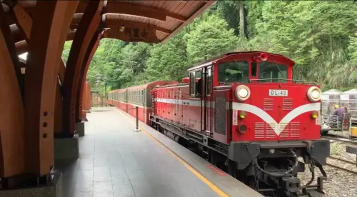 ▲阿里山林鐵7月6日全線通車。(圖/農業部林業及自然保育署) ▲阿里山林鐵7月6日全線通車。(圖/農業部林業及自然保育署)