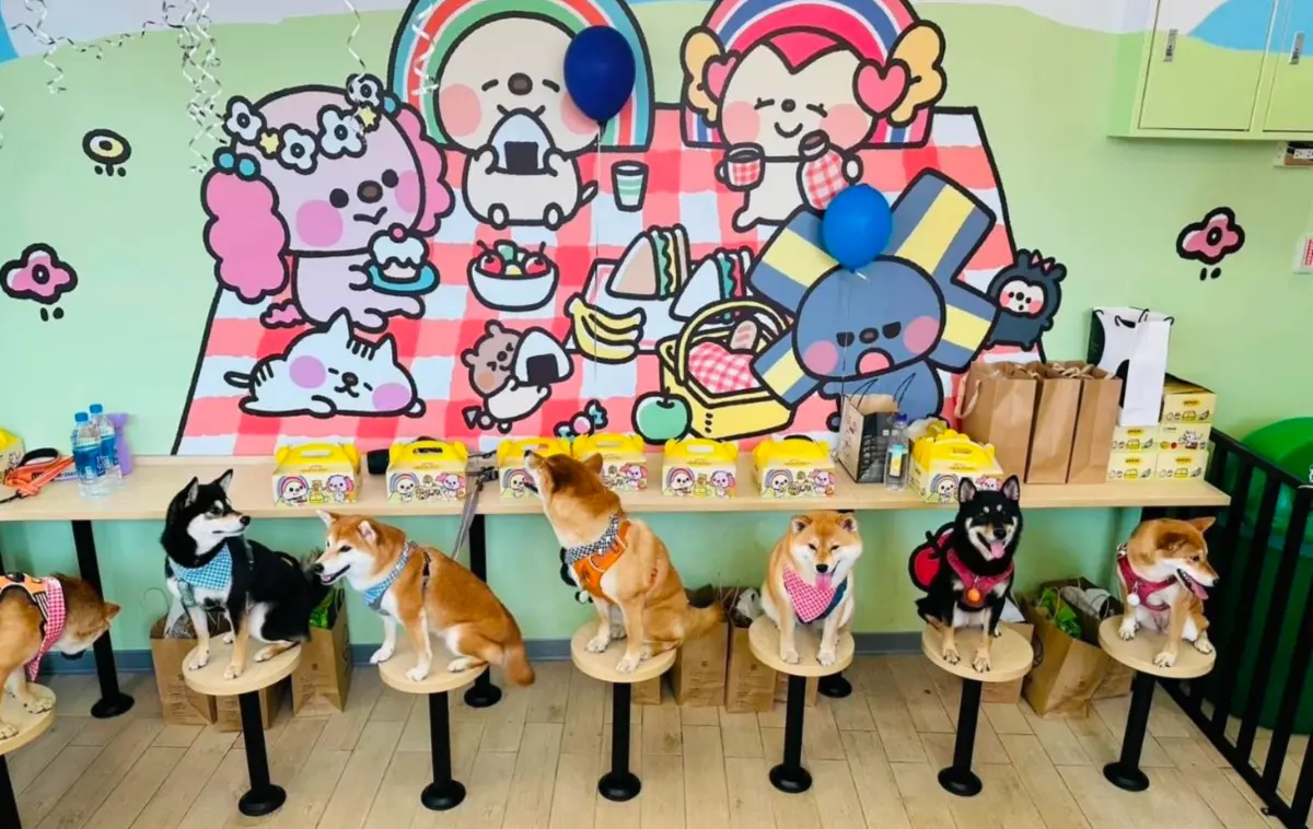 ▲東山國道服務區設有寵物共餐區。（圖／高公局提供）