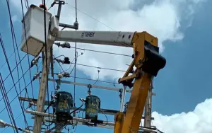 又停電！新竹芎林鄉「電桿遭鳥類碰觸」　台電：20多戶受影響
