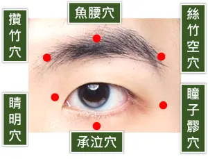 ▲輕柔按壓眼睛周圍6穴,有助減輕用眼疲勞。(圖/北市聯醫提供) ▲輕柔按壓眼睛周圍6穴,有助減輕用眼疲勞。(圖/北市聯醫提供)