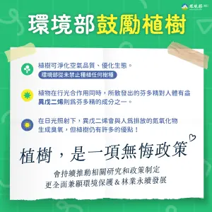 ▲環境部指出，從未禁止種植特定樹種，並且強調將會持續攜手各界營造健康、宜居的生活空間。（圖／環境部提供）