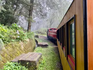 ▲今年迎接阿里山林鐵全線通車，最美頂級「福森號」觀光列車也將於7月28日首航。（圖／記者蕭涵云攝）