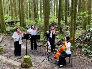 ▲在二萬坪的黑森林打造小型森林音樂演奏會。（圖／記者蕭涵云攝）