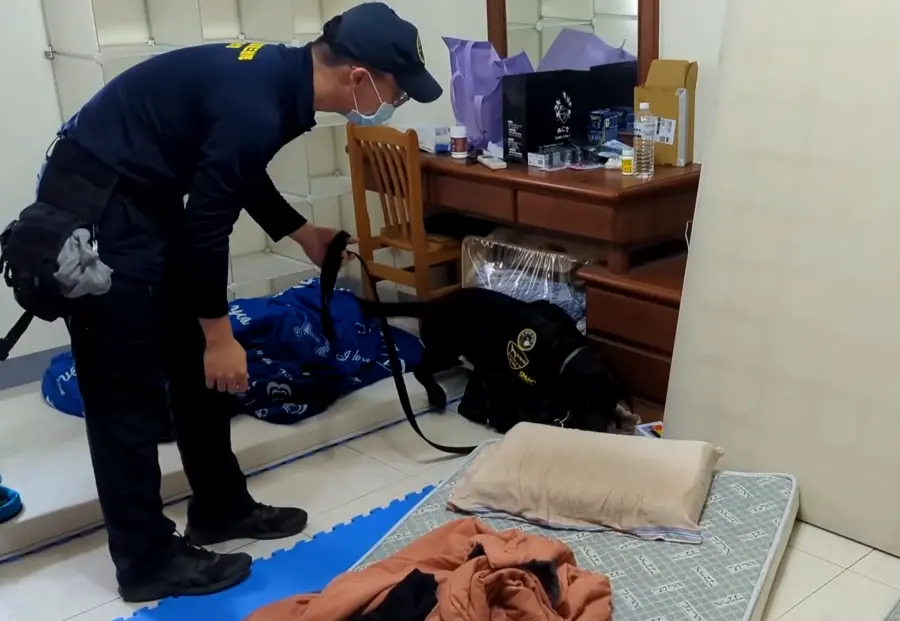 ▲高市警局刑警大隊透過電子產品偵測犬「Wafer(晶圓)」，在當場查獲洗錢水房內藏匿之電子產品等關鍵事證。(圖／記者郭凱杰翻攝)