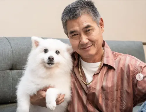 「老人與狗」16歲咪咪離世！胰臟癌化療完散步倒地　道別片眾淚崩
