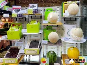 ▲店內引進日本頂級哈密瓜等多樣頂級進口水果。(圖/記者陳美嘉攝,2024.07.05) ▲店內引進日本頂級哈密瓜等多樣頂級進口水果。(圖/記者陳美嘉攝,2024.07.05)