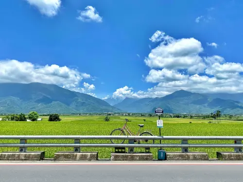 ▲台東池上有獨特的農田景觀和稻田藝術，景點還包含因為金城武拍廣告而聞名全台的伯朗大道，以及天堂路。（圖／記者葉盛耀攝）