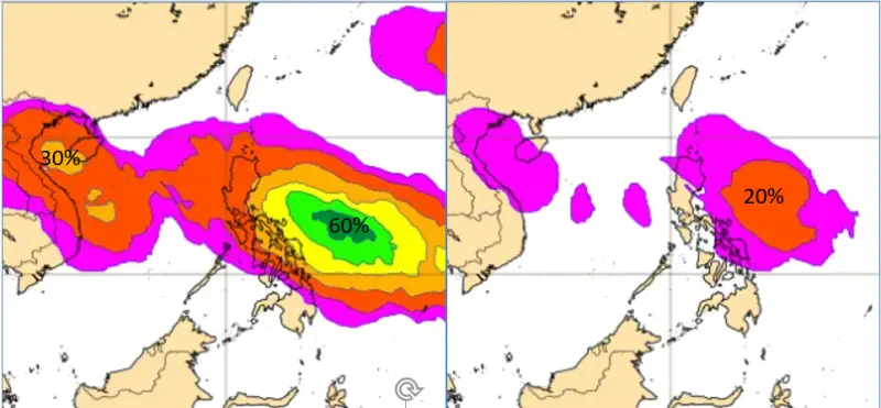 ▲歐洲模式(ECMWF)系集模擬顯示，17日前後菲律賓東方至南海一帶「熱帶低壓」存在的機率，分別調整為60％及30％（左圖）；菲律賓東方「輕颱」存在的機率，則調整為20％（右圖）。（圖／取自「三立準氣象.老大洩天機」）