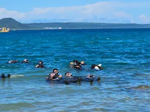 ▲從天空飛行到地面探險，再潛入海底探索深海奧秘。（圖／屏東縣府提供）