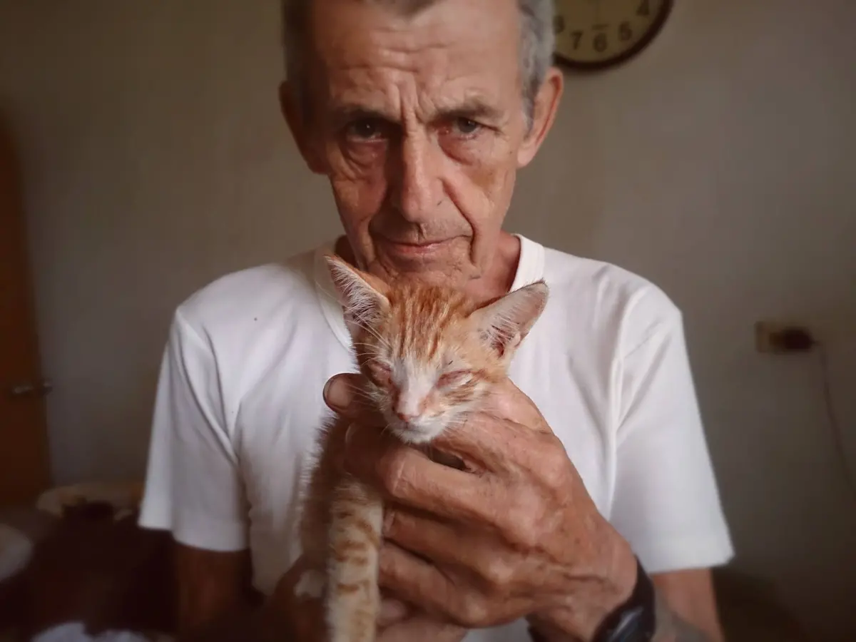 ▲英國人馬爺爺Jerry‎來台超過30年，為了照顧流浪貓不遺餘力，除了花光積蓄收留貓咪，最多更曾一次照顧200隻貓，如今卻傳出離世消息。（圖／翻攝自臉書粉專「餵貓英國人馬爺爺Jerry」）