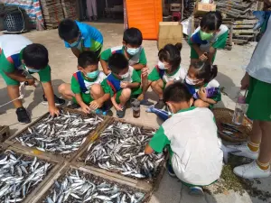 澎湖縣風櫃國小食魚教育、環保燈飾跨域美感課程。 ▲澎湖縣風櫃國小食魚教育、環保燈飾跨域美感課程。(圖/教育部提供)