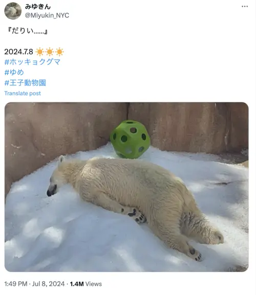 ▲(圖/翻攝自X) ▲(圖/翻攝自X)