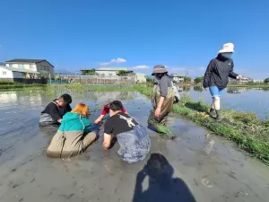 教育部推動自我探索課程　3年協助203名中離生就學與就業
