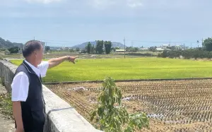 「雀躍的野豬」狂奔毀后里農地 台中農業局將圍捕 ▲台中市農業局推斷附近樹林應是野豬躲藏地。(圖/台中市政府提供,2024.07.12)