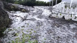 ▲中央氣象局通報,下午14時10分至25分玉山降下小冰雹,現場景色雪白一片,頗為壯觀。(圖/玉山氣象站提供) ▲▲中央氣象局通報,下午14時10分至25分玉山降下小冰雹,現場景色雪白一片,頗為壯觀。(圖/玉山氣象站提供)