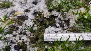 ▲中央氣象局通報,下午14時10分至25分玉山降下小冰雹,現場景色雪白一片,頗為壯觀。(圖/玉山氣象站提供) ▲▲中央氣象局通報,下午14時10分至25分玉山降下小冰雹,現場景色雪白一片,頗為壯觀。(圖/玉山氣象站提供)