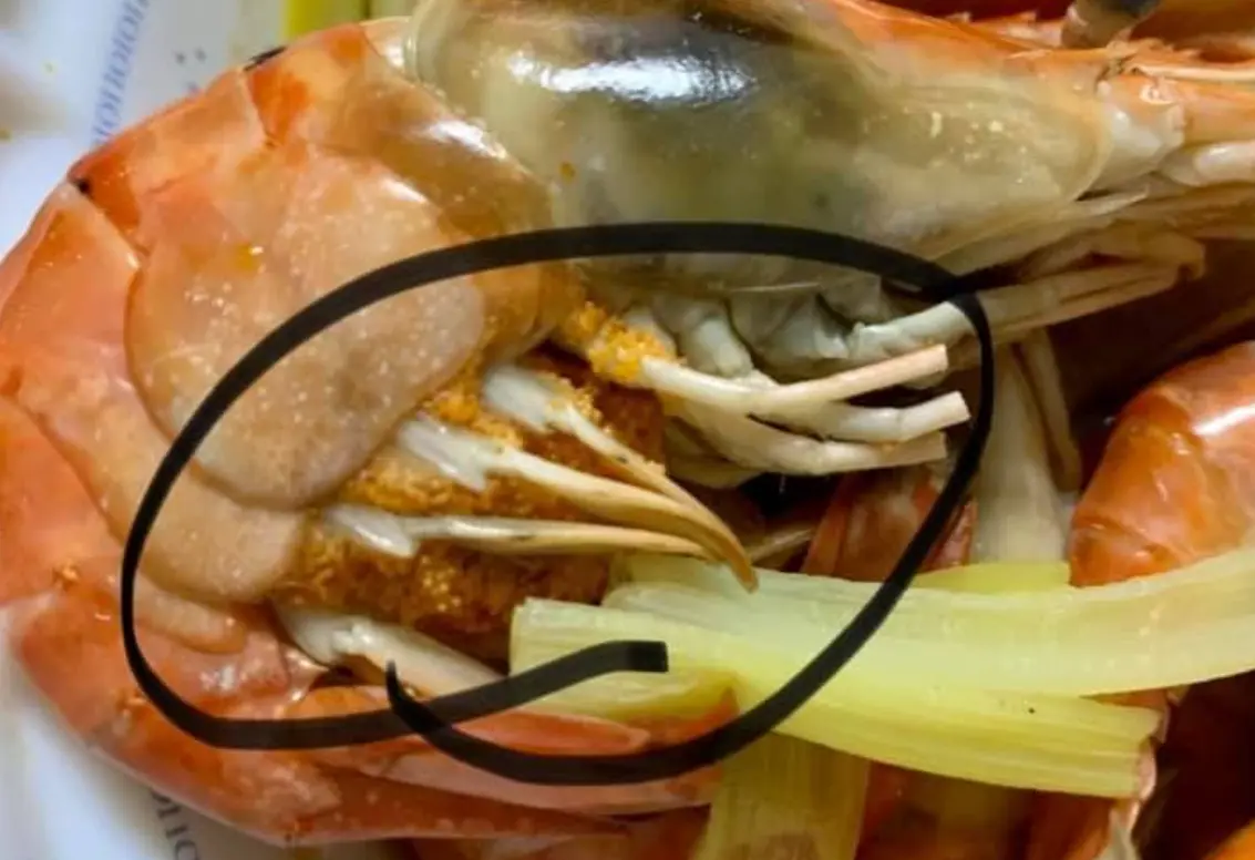 ▲蝦子肉質Q彈味道鮮美，若看到腹部「抱卵」，更有許多老饕會眼睛亮起。（圖／取自爆廢公社公開版）