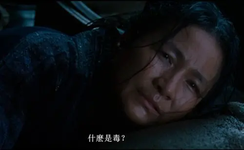▲鄭佩佩2000年在《臥虎藏龍》飾演「碧眼狐狸」,是李慕白的仇人、玉嬌龍的師傅。(圖/《臥虎藏龍》劇照) ▲鄭佩佩2000年在《臥虎藏龍》飾演「碧眼狐狸」,是李慕白的仇人、玉嬌龍的師傅。(圖/《臥虎藏龍》劇照)