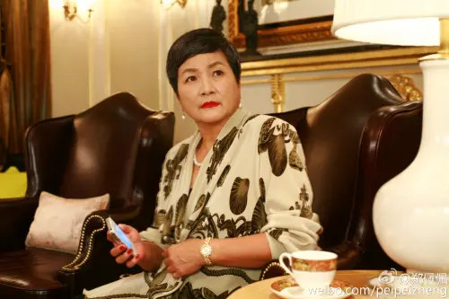 鄭佩佩兒媳罹癌2年病況再加重！她募款醫藥費受阻：籌不到3成
