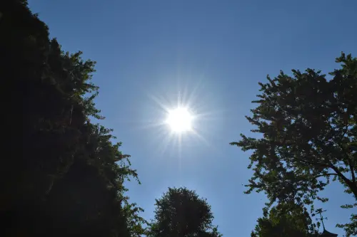 ▲陽光、太陽、酷暑、高溫、中暑、夏天、運勢配圖。（示意圖／取自Unsplash）