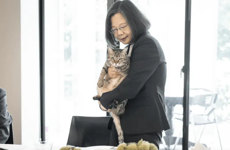 ▲凱米來勢洶洶,蔡英文呼籲國人做好防災整備工作,一起將風雨可能帶來的損害降到最低。(圖/翻攝自蔡英文threads)