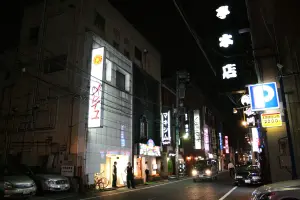 日本最大風俗街！看板寫3語言攬客　10中客不旅遊湧高級泡泡浴店
