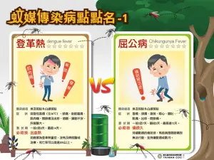 高市出現首例境外移入屈公病個案 境外移入登革熱增2例