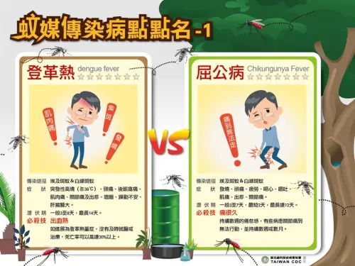 ▲屈公病與登革熱一樣,都是透過帶有病毒的白線斑蚊或埃及斑蚊叮咬而感染。(圖/高市府衛生局提供) ▲屈公病與登革熱一樣,都是透過帶有病毒的白線斑蚊或埃及斑蚊叮咬而感染。(圖/高市府衛生局提供)