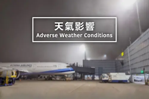 凱米颱風來襲,今日全台停班停課,今(24)日航班異動包含國內線取消259架次、國際線27架次,遇到班機取消,5個必做事項可不能忽略。(圖/翻攝桃園國際機場臉書) ▲康芮颱風來襲,多數航班已取消,少部分有飛的航班可能異動,旅客可上各航空公司官網以及機場官網查詢異動。(圖/翻攝桃園國際機場臉書)