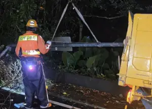 凱米暴風圈來勢洶洶！陽明山仰德大道深夜「路樹倒塌」砸斷路燈
