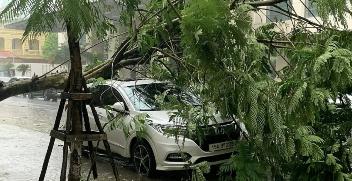 ▲越南北方遇到颱風巴比倫，多處暴雨和土石流。（圖／翻攝自越南快訊）