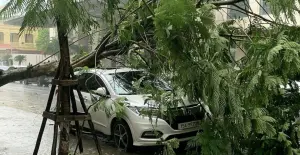 越南也遇颱風！肆虐慘況曝　多處暴雨和土石流
