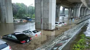 ▲南投市綠美橋下停車場有多輛汽車泡水，水深高過車門。（圖／翻攝臉書「南投人聊天室 2.0」，2024.07.25）