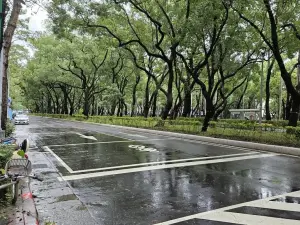 ▲公園處獲悉後,立刻派員前往該處查看,但卻始終沒發現如照片所示的情形。(圖/翻攝畫面) ▲公園處獲悉後,立刻派員前往該處查看,但卻始終沒發現如照片所示的情形。(圖/翻攝畫面)