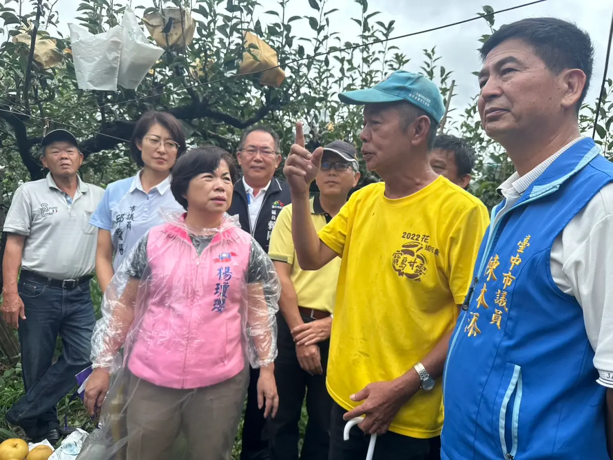 ▲楊瓊瓔昨天下午現勘災損，許多梨子遭強風吹斷果梗。（圖／楊瓊瓔辦公室提供）