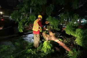 ▲凱米颱風過後，開車在路上，滿目瘡痍，樹幹樹枝樹葉滿地，雨狂瀉，風狂吹，有看過雨下到密佈成片的嗎，清潔人員正努力的幫運著。(圖／翻攝畫面)