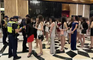 台中警凌晨擴大臨檢!警犬穿梭「美腿森林」 辣妹摸頭喊:辛苦了