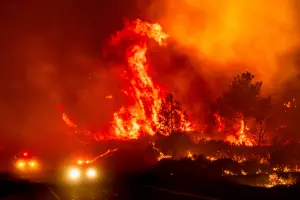 影／加州野火爆發！男將著火車輛推入山谷後被捕　面臨縱火起訴
